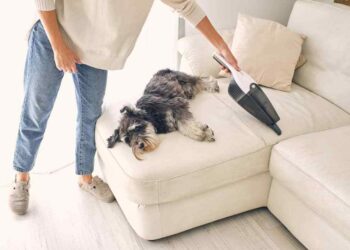 Keeping a Clean Home With Pets: Practical Strategies for Managing Fur, Dander, and Dirt