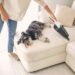 Keeping a Clean Home With Pets: Practical Strategies for Managing Fur, Dander, and Dirt