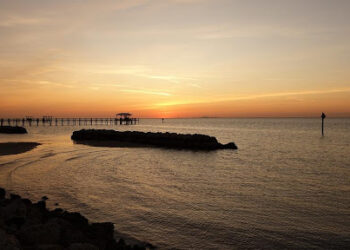 Top 5 Things To Consider Before Buying a Home in Apollo Beach, Florida