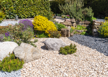 How to Fireproof Your Landscaping