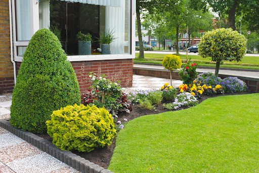 Landscape Your Front Garden 