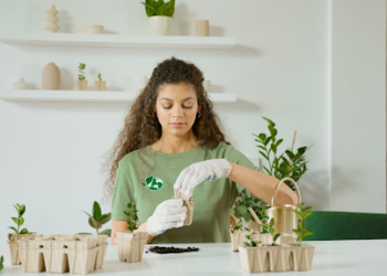 Proven Strategies for Plant Recovery and Growth