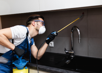 Home Pest-Free in Sydney