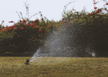 Top 5 Benefits of Having an Automatic Sprinkler System 