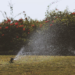 Top 5 Benefits of Having an Automatic Sprinkler System
