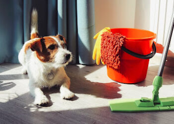 Pet-Friendly Cleaning: Keep Your Home Hair-Free and Fresh