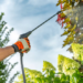 How Preventative Pest Control Can Save You Money in the Long Run