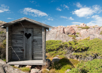 Top Tips for Spring Cleaning Your Shed: Don’t Forget Waste Disposal!