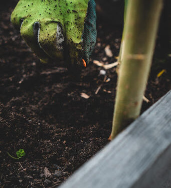 Hydroponic Farming System
