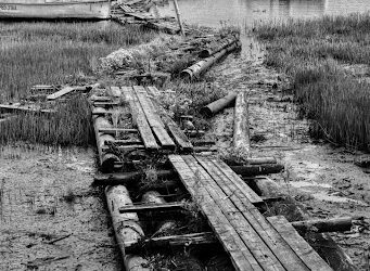 A Rebirth Of Home: Nurturing Your Living Space After Water Challenges