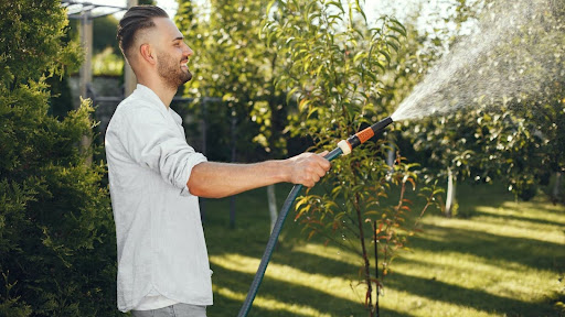 a men gives water Fruit Trees?