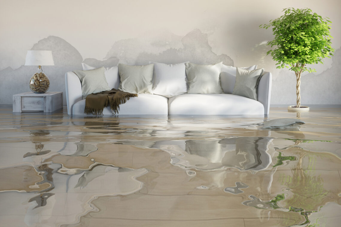 The effects of water damage House Integrals