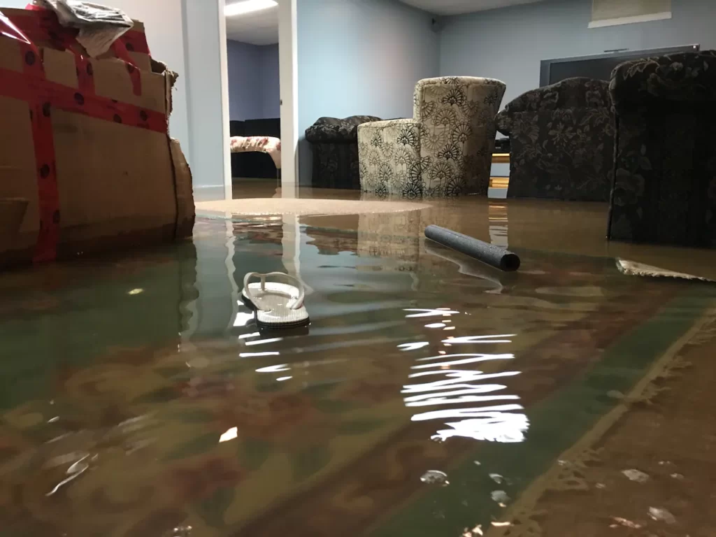 Water lodged basement