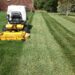 The Best Professional Services You Can Get For Your Yard