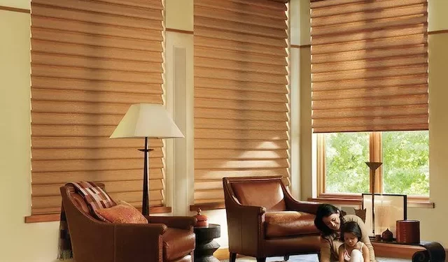 Top reasons to choose blackout window treatments
