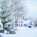 Healthy Home in Winter