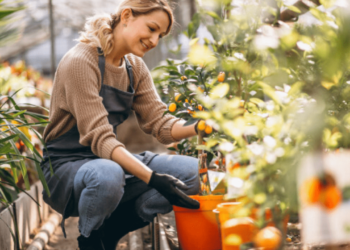 How Gardening Develops Imagination