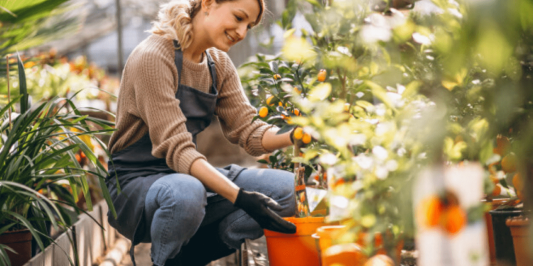 How Gardening Develops Imagination